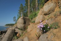 /album/lichnyj-sajt/a23547-jpg/